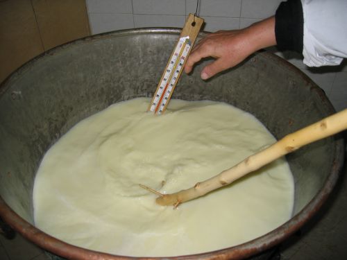 scuola di formaggio-48.JPG